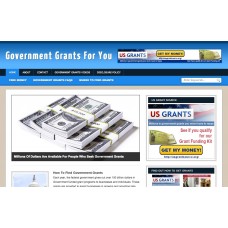 WP Niche Blog: Government Grant